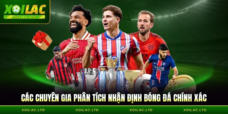 Các chuyên gia phân tích nhận định bóng đá chính xác