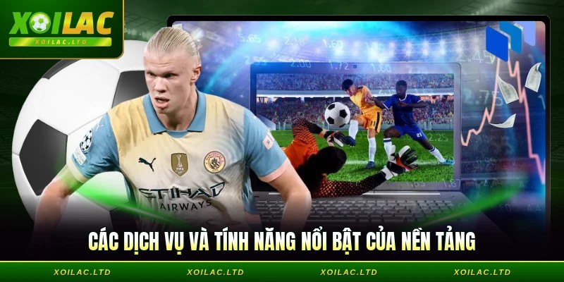 Các dịch vụ và tính năng nổi bật của nền tảng