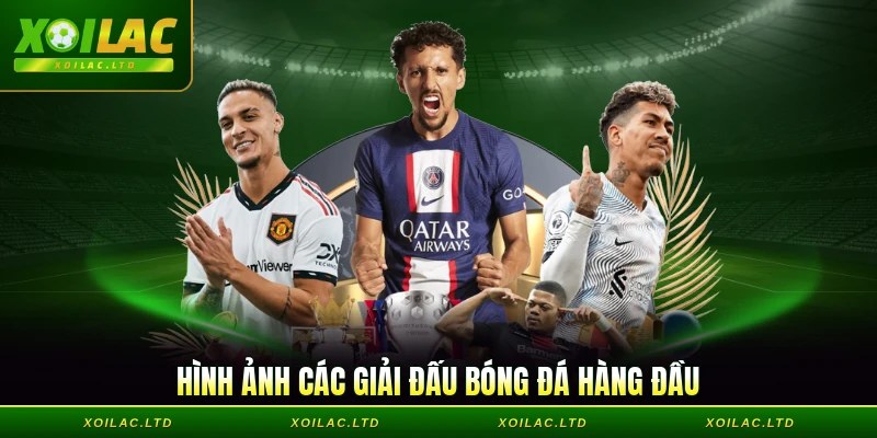Hình ảnh các giải đấu bóng đá hàng đầu