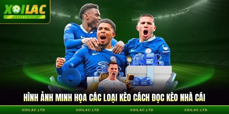 Hình ảnh minh họa các loại kèo cách đọc kèo nhà cái