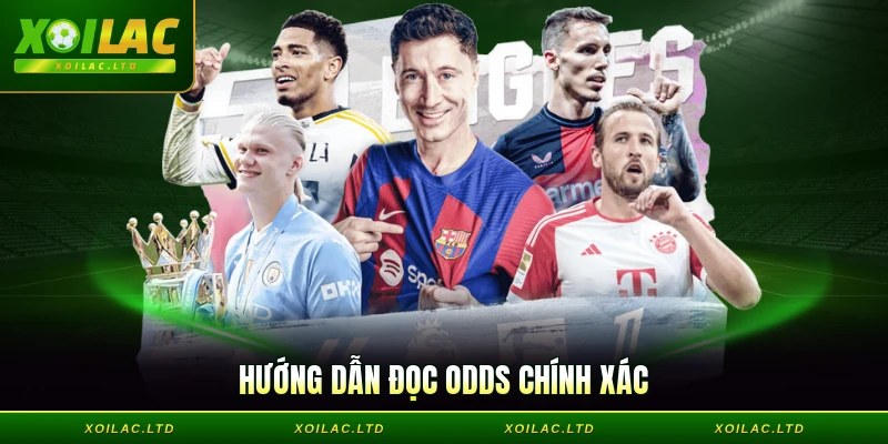 Hướng dẫn đọc odds chính xác
