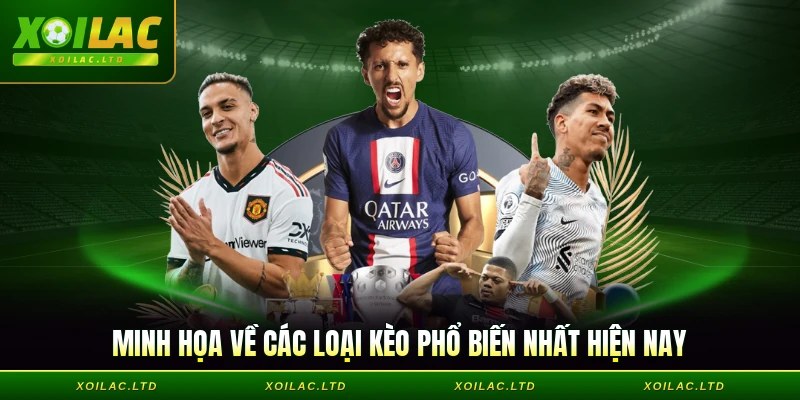 Minh họa về các loại kèo phổ biến nhất hiện nay