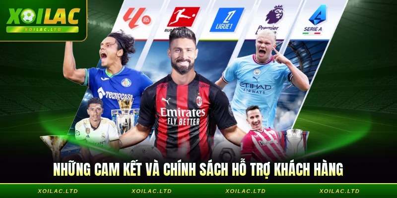 Những cam kết và chính sách hỗ trợ khách hàng