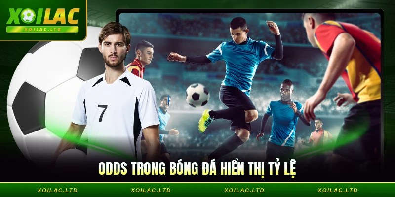 Odds trong bóng đá hiển thị tỷ lệ