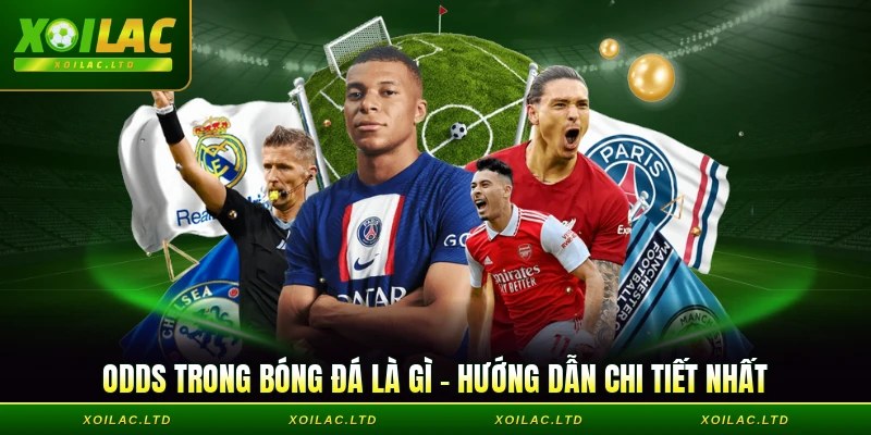 Odds Trong Bóng Đá Là Gì - Hướng Dẫn Chi Tiết Nhất
