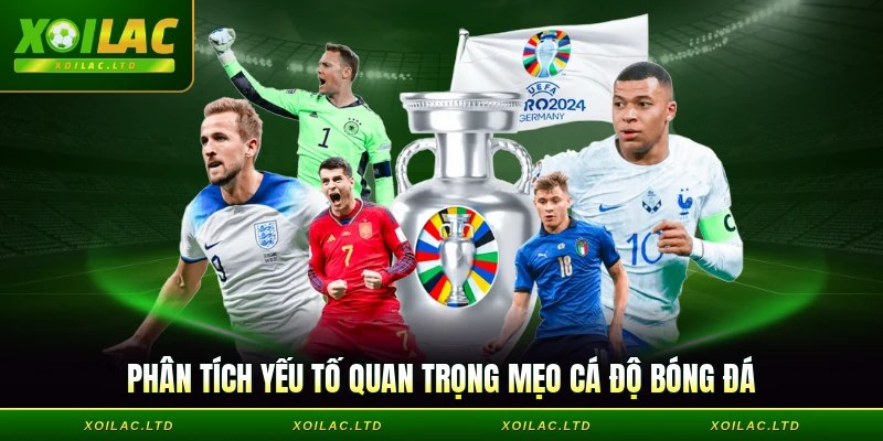 Phân tích yếu tố quan trọng mẹo cá độ bóng đá
