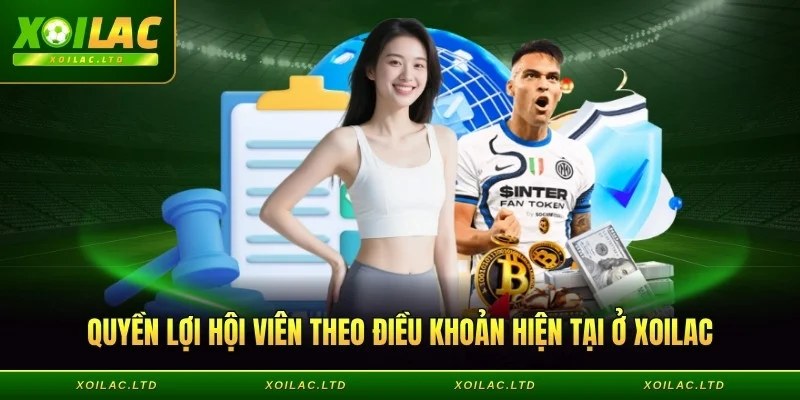 Quyền lợi hội viên theo điều khoản hiện tại
