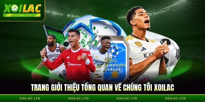 Trang giới thiệu tổng quan về chúng tôi